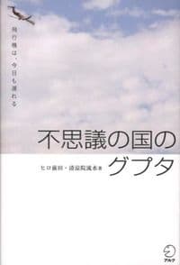 不思議の国のグプタ―飛行機は、今日も遅れる