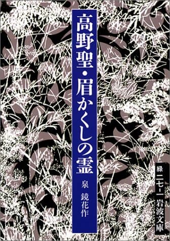 高野聖・眉かくしの霊