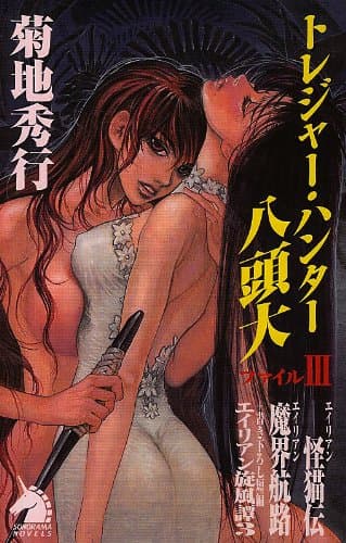 トレジャー・ハンター八頭大 ファイル3