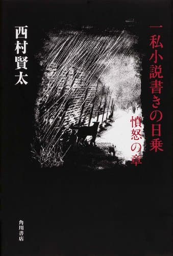 一私小説書きの日乗 憤怒の章