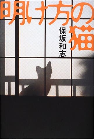 明け方の猫
