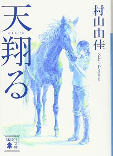 天翔る