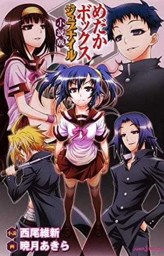 めだかボックスジュブナイル : 小説版