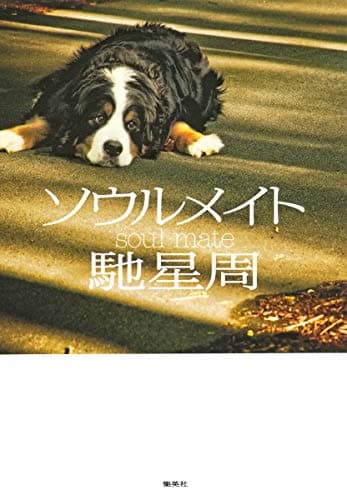 ソウルメイト = soul mate
