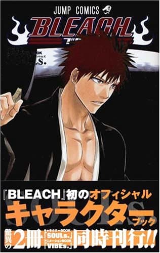 Bleach official character book souls