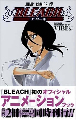 Bleach official animation book vibes