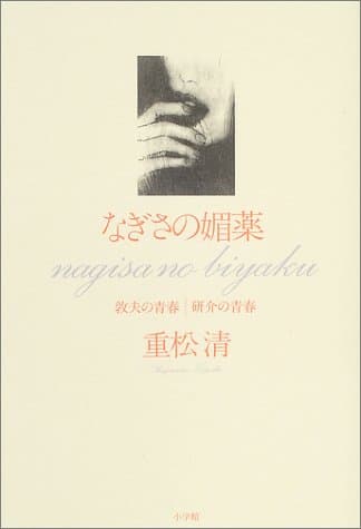なぎさの媚薬 : 敦夫の青春・研介の青春