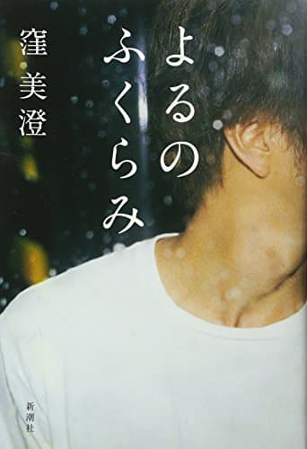 よるのふくらみ