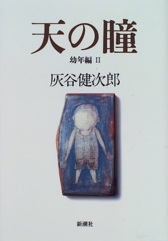 天の瞳 幼年編 2