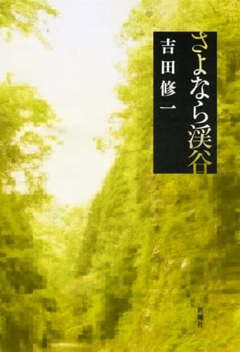 さよなら渓谷
