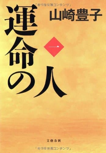 運命の人 1