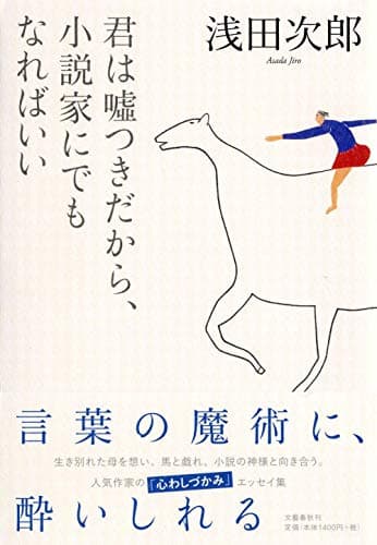 君は嘘つきだから、小説家にでもなればいい