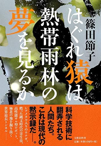 はぐれ猿は熱帯雨林の夢を見るか