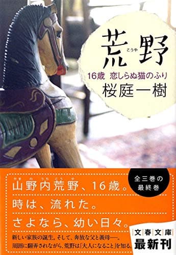 荒野 16歳恋しらぬ猫のふり