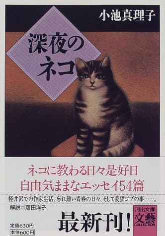 深夜のネコ
