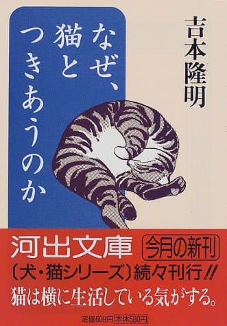 なぜ、猫とつきあうのか