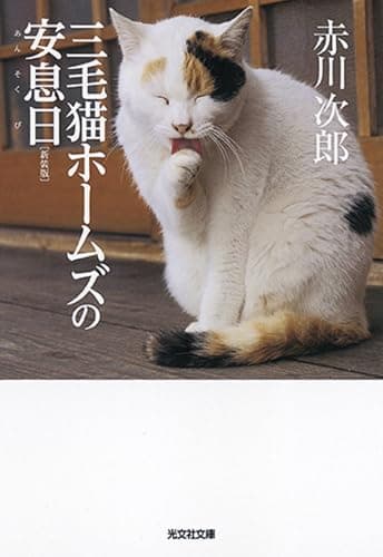 三毛猫ホームズの安息日 : 長編推理小説