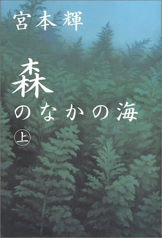 森のなかの海 上