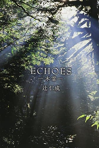 ECHOES-木霊-