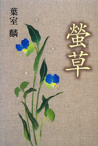 螢草