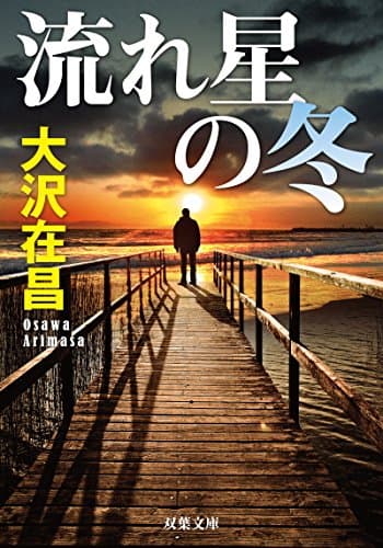 流れ星の冬
