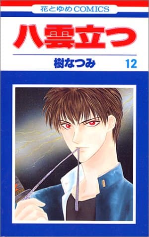 八雲立つ 第12巻