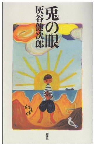 兎の眼 : 長編小説