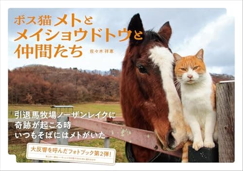 ボス猫メトとメイショウドトウと仲間たち