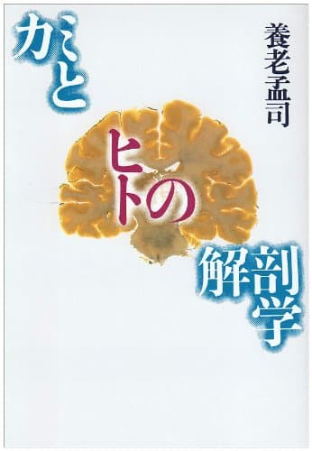 カミとヒトの解剖学