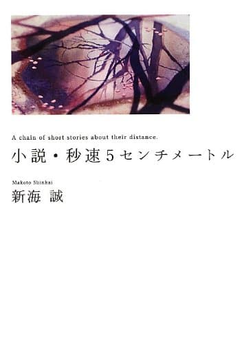 小説・秒速5センチメートル