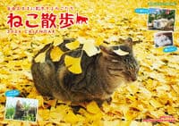 中山祥代ねこ散歩カレンダー 2026