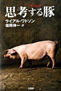 思考する豚