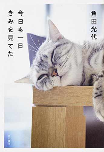 今日も一日きみを見てた