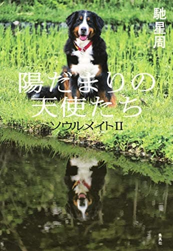 陽だまりの天使たち : ソウルメイト 2