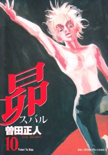 昴 10