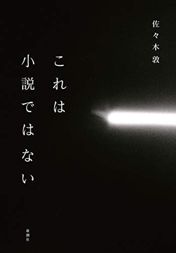 これは小説ではない