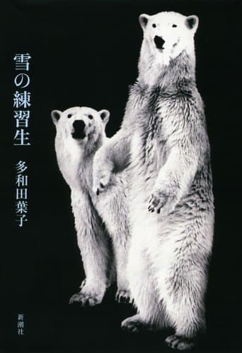 雪の練習生