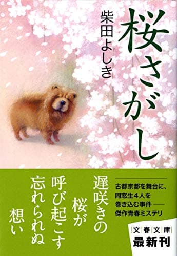 桜さがし