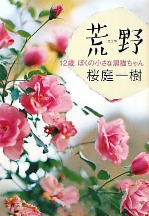 荒野 12歳