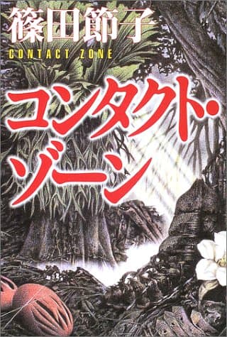 コンタクト・ゾーン
