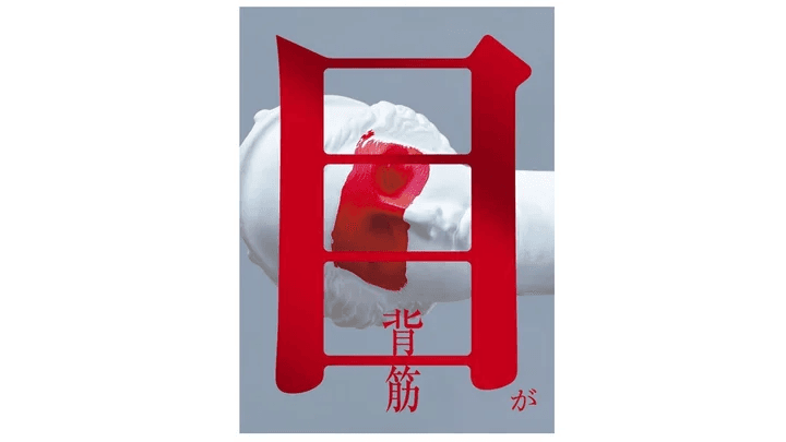 目が